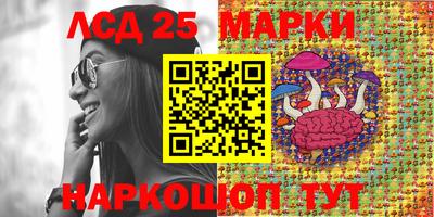 молекула духа Ижевск