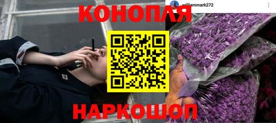 молекула духа Ижевск