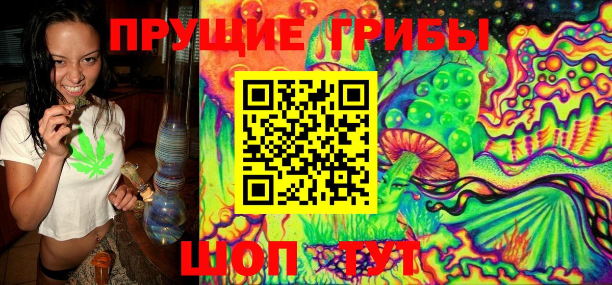 Ангарск  Псилоцибиновые грибы Psilocybe  Вход с VPN 